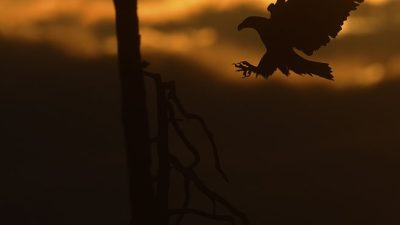 phoca_thumb_l_Havrn_inn_for_landing