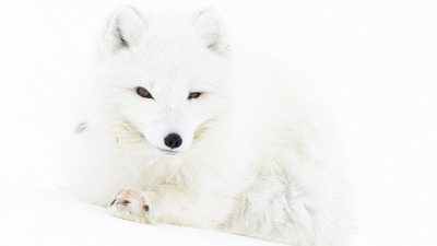 phoca_thumb_l_IMG_9309