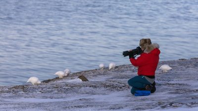 phoca_thumb_l_JPEG-bilde_124_1