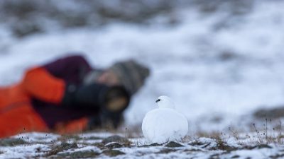 phoca_thumb_l_JPEG-bilde_35