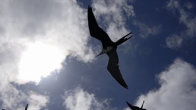 phoca_thumb_l_TS4672