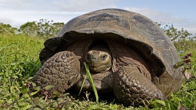 phoca_thumb_l_TS4673