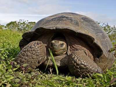 phoca_thumb_l_TS4673