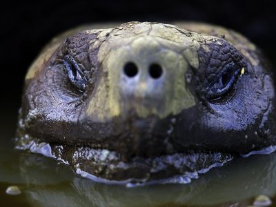phoca_thumb_l_TS4677