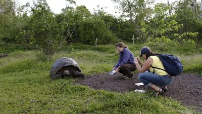 phoca_thumb_l_TS4680