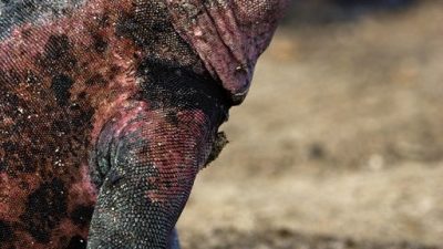 phoca_thumb_l_TS4689