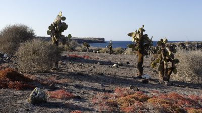 phoca_thumb_l_TS4695