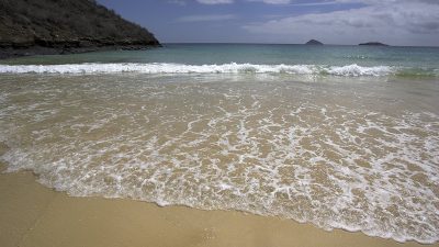 phoca_thumb_l_TS4986