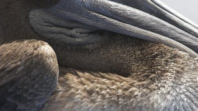 phoca_thumb_l_TS4990