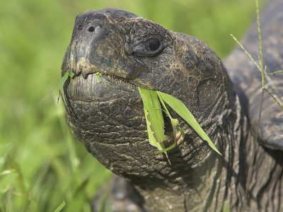 phoca_thumb_l_TS5014