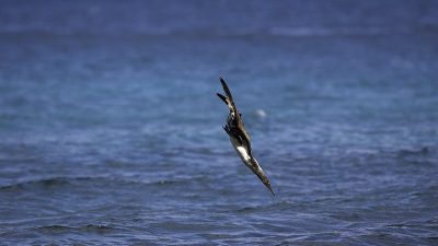 phoca_thumb_l_TS5027