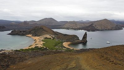 phoca_thumb_l_TS5043