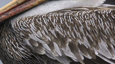 phoca_thumb_l_TS5048