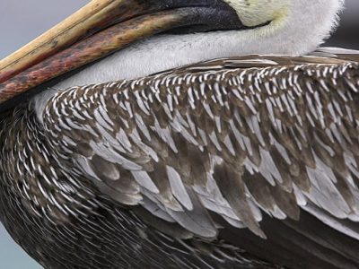 phoca_thumb_l_TS5048