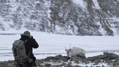 phoca_thumb_l__F6I0573