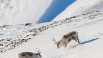 phoca_thumb_l__F6I2379