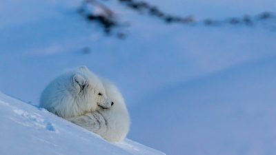 phoca_thumb_l__F6I2933