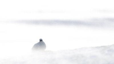 phoca_thumb_l__F6I7190