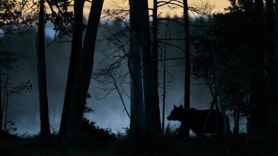 phoca_thumb_l_bjorn-0115