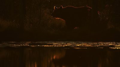 phoca_thumb_l_bjorn_rodt_lys-0008